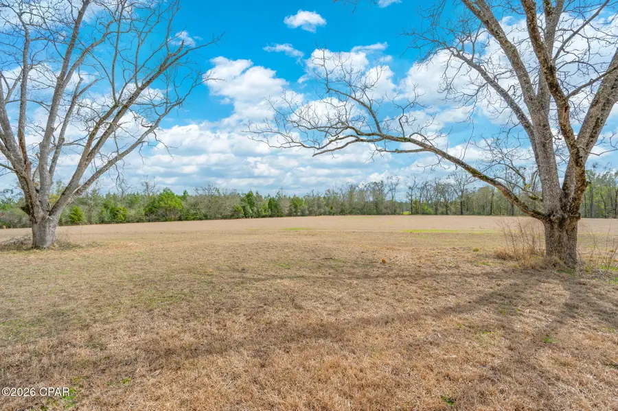 686 Alford Road, Defuniak Springs, FL 32433 - #3