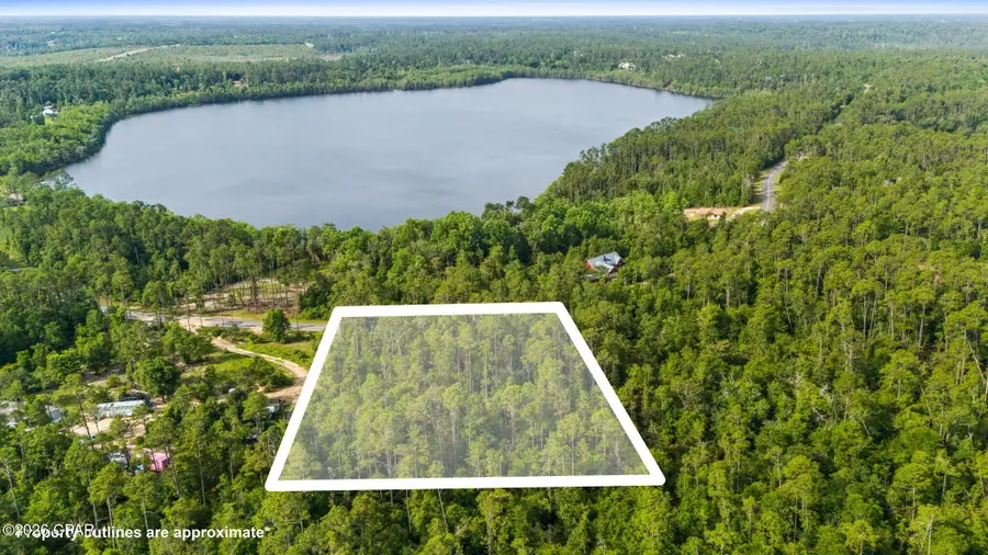 XXX View Drive, Alford, FL 32420 - #2