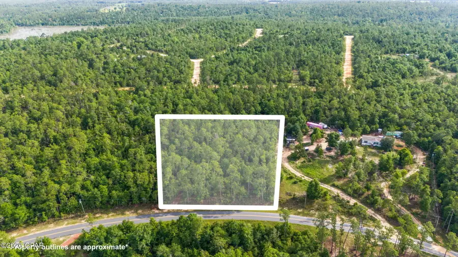 XXX View Drive, Alford, FL 32420 - #3
