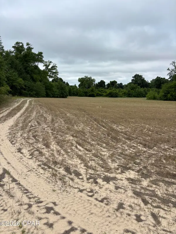 0 Blue Springs Road, Greenwood, FL 32443