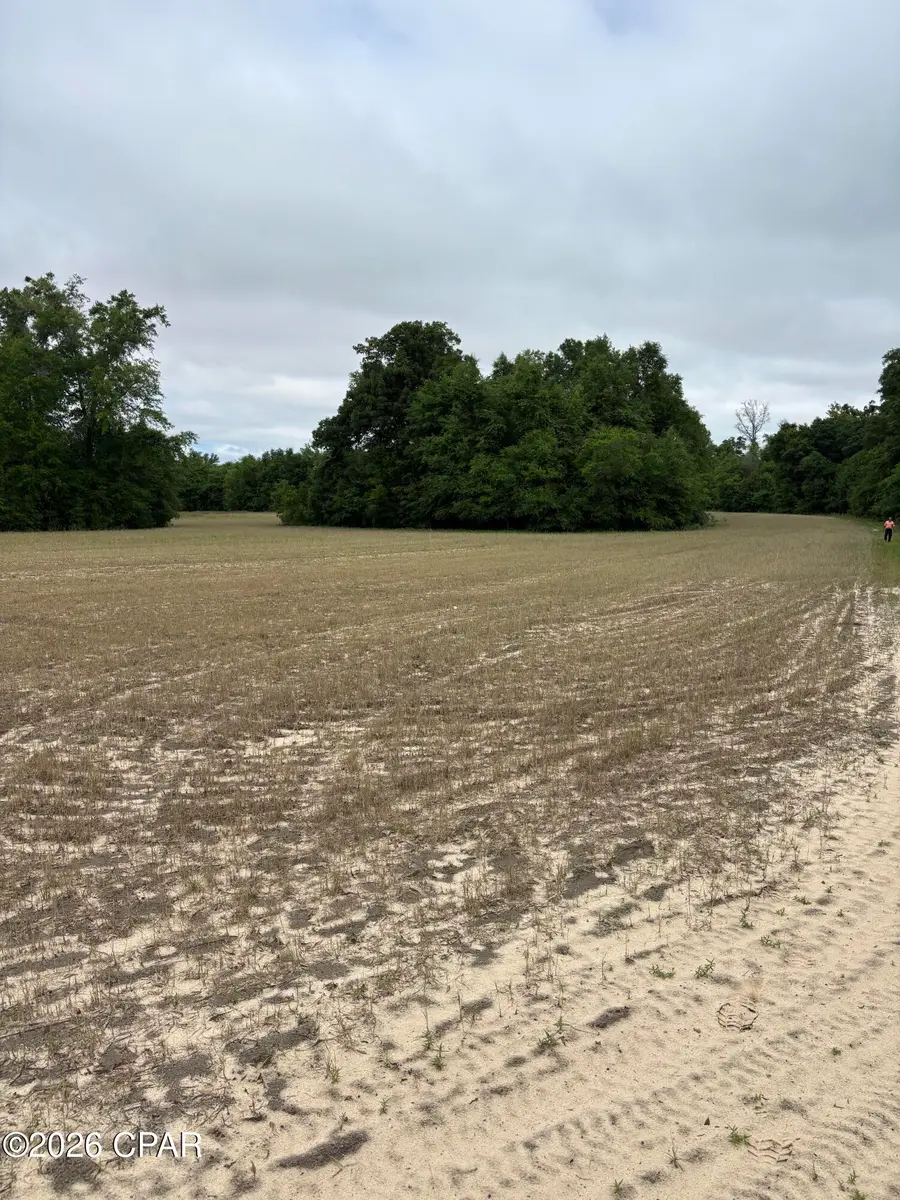 0 Blue Springs Road, Greenwood, FL 32443 - #2