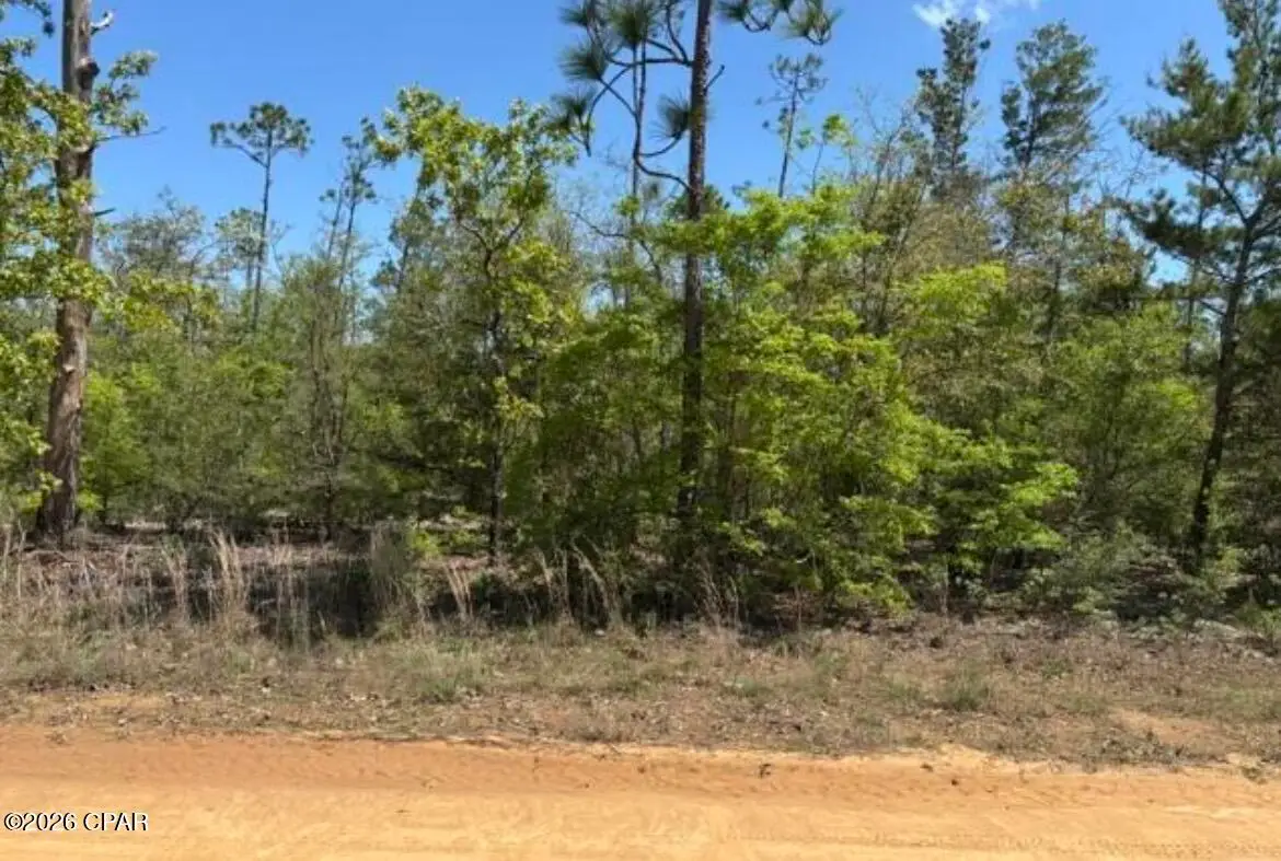 00 Tolliver Road, Fountain, FL 32438 - #1