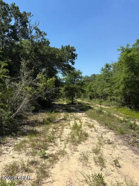 00 Pasofino Lane #M-2, Alford, FL 32420 - #3