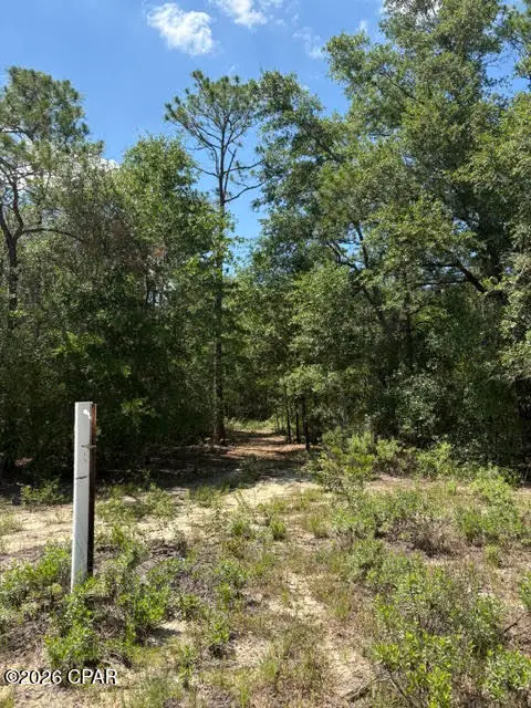 000 Pasofino Lane #B-3, Alford, FL 32420 - #1