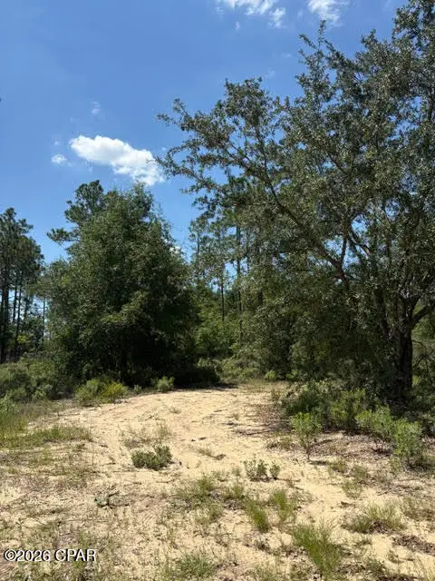 000 Pasofino Lane #B-3, Alford, FL 32420 - #3