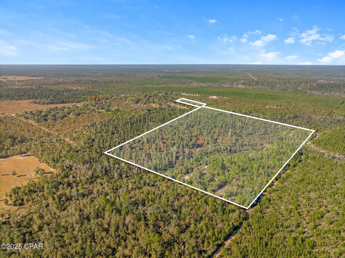 TBD NW Nw Cr 274, Altha, FL 32421 - #1