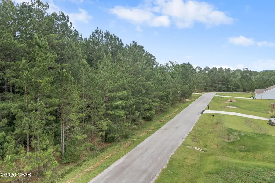 XXX Madison Lane, Chipley, FL 32428 - #2