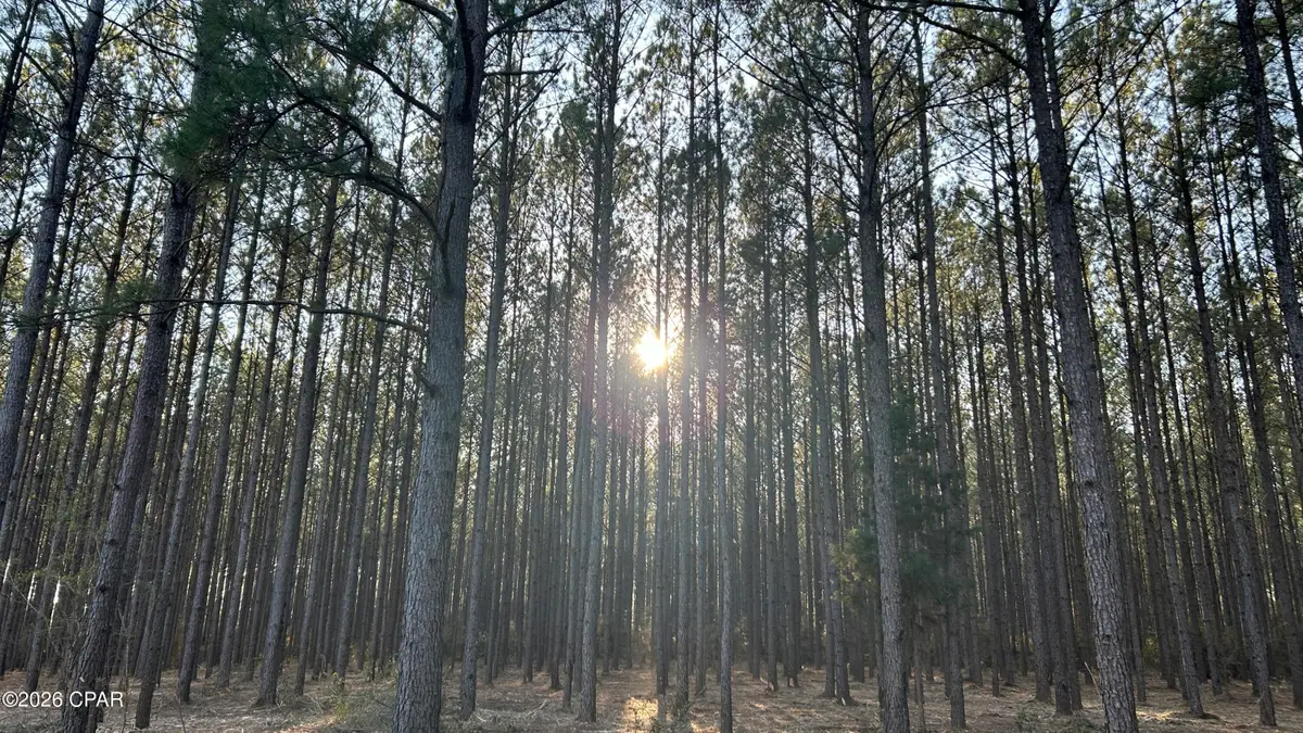 Z Z Grimes Road, Laurel Hill, FL 32567 - #1
