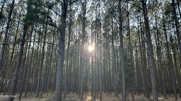 Z Z Grimes Road, Laurel Hill, FL 32567
