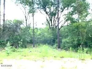0 Summer Street #3, Marianna, FL 32448
