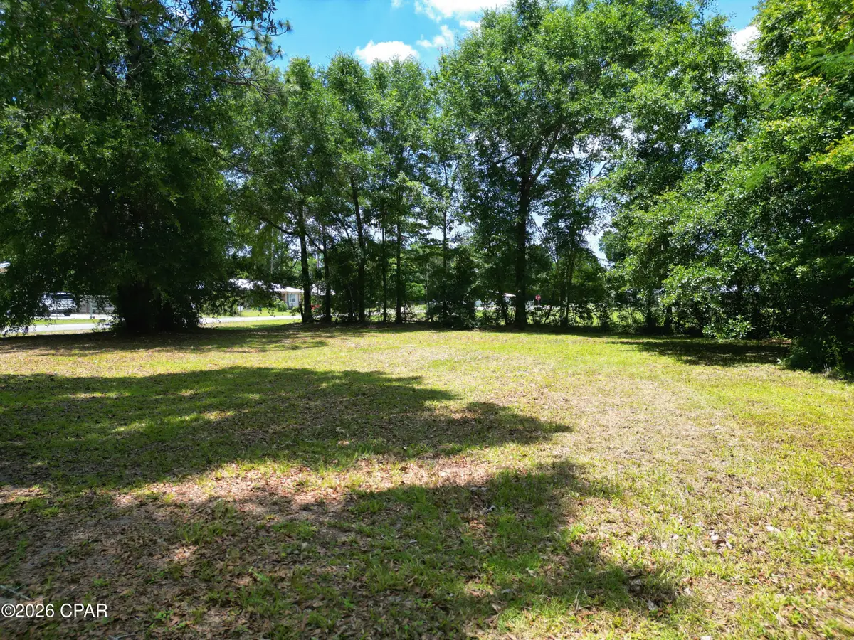 14248 NW 1st Avenue, Bristol, FL 32321 - #1