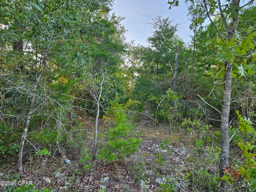 Lot 3 Parkview Drive, Chipley, FL 32428 - #3