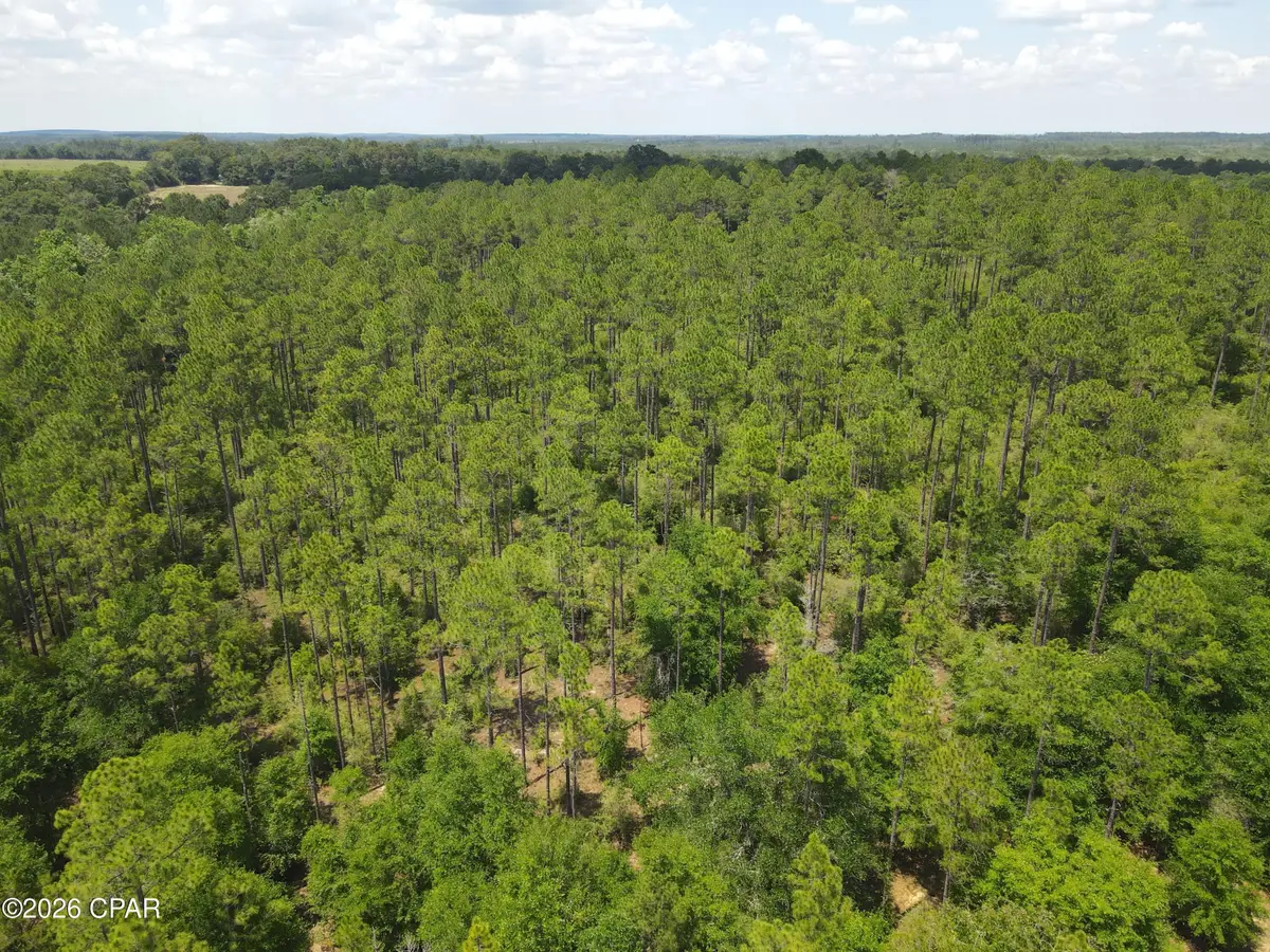 0 St Hwy 83, Defuniak Springs, FL 32433 - #1