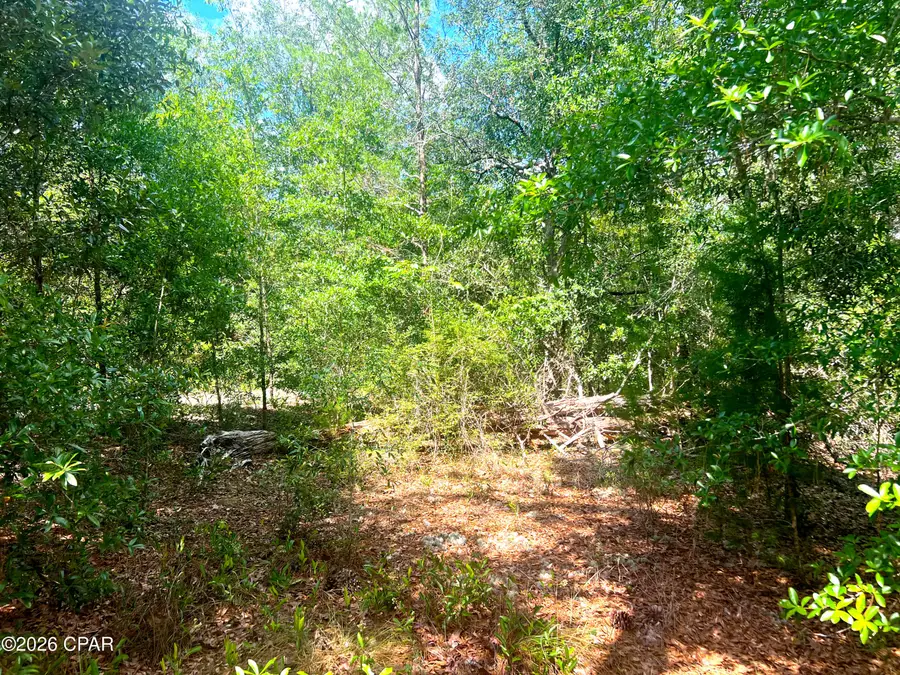 TBD Linwood Drive, Chipley, FL 32428 - #2