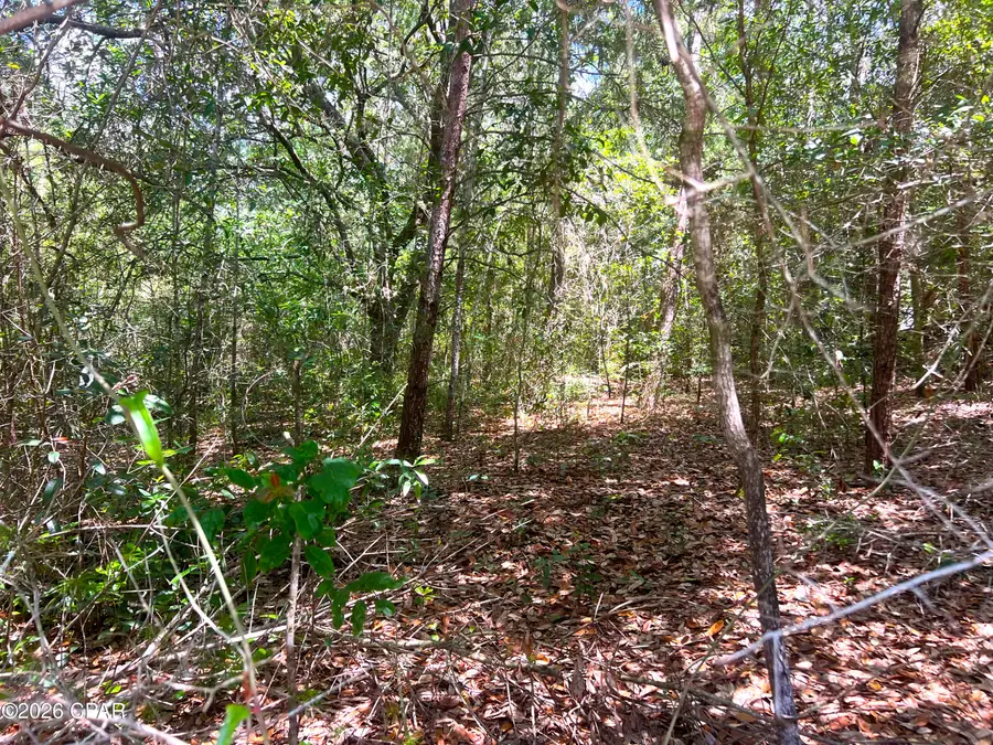 TBD Galiano Court, Chipley, FL 32428 - #2