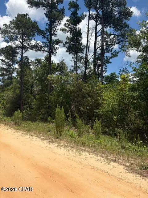 0 Tiger Avenue #LT3 BLK75, Marianna, FL 32448