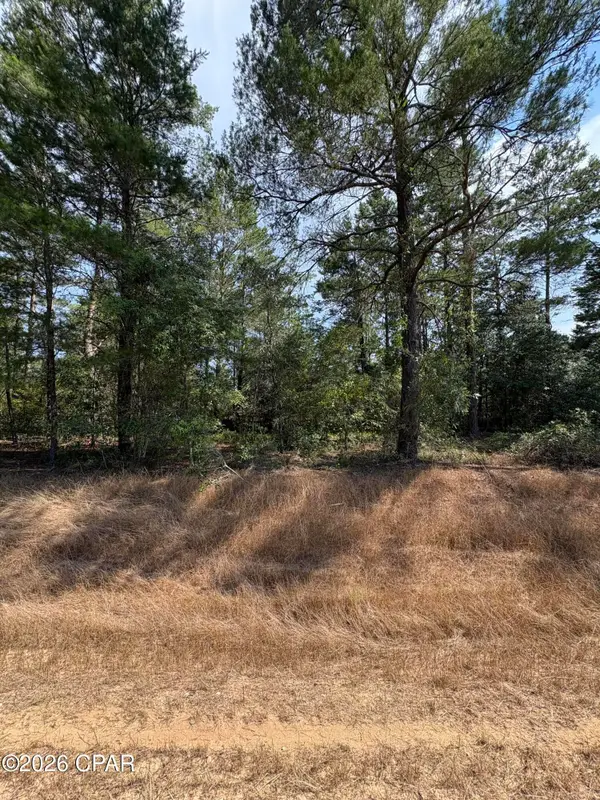 Lot 3 Dumajack Road, Chipley, FL 32428