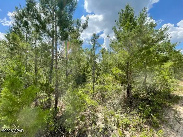 000B NW Lake Lillian Avenue, Fountain, FL 32438 - #2