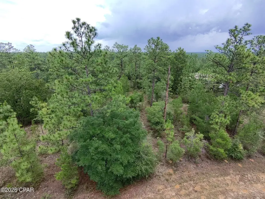 LOT 24 Newmoon Drive, Chipley, FL 32428 - #3