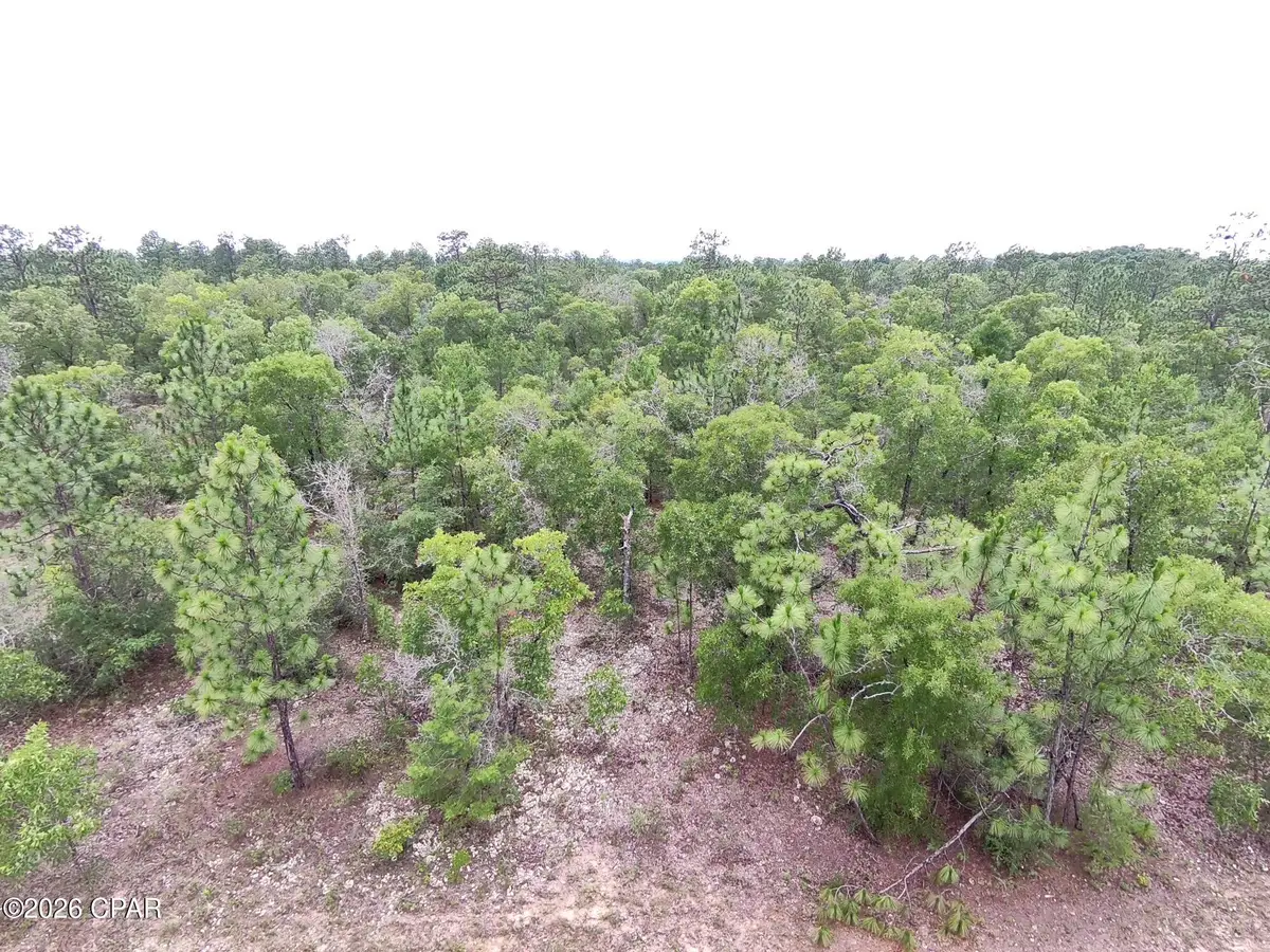 LOT 10 Newcomb Avenue, Chipley, FL 32428 - #1