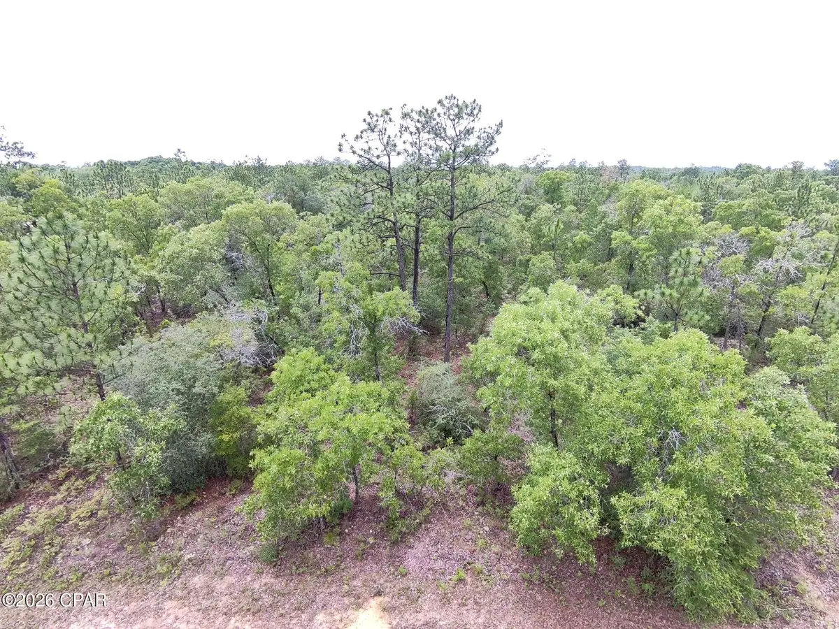 LOT 13 Pinellas Drive, Chipley, FL 32428 - #1