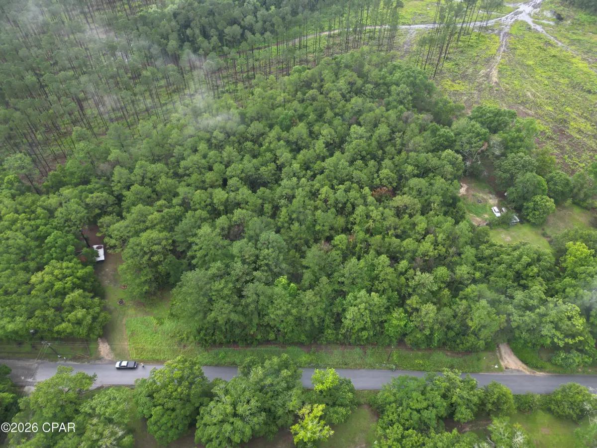 0000 Beall Packing House Road, Bonifay, FL 32425 - #1