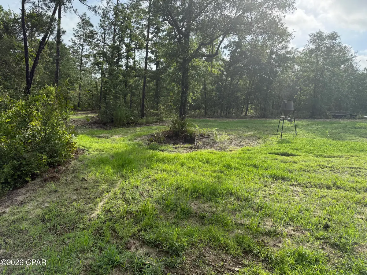 516 Goshun Creek Road, Chipley, FL 32428 - #1