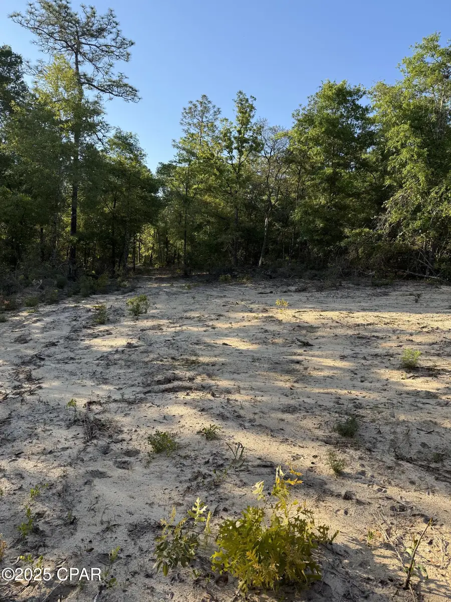 516 Goshun Creek Road, Chipley, FL 32428 - #3