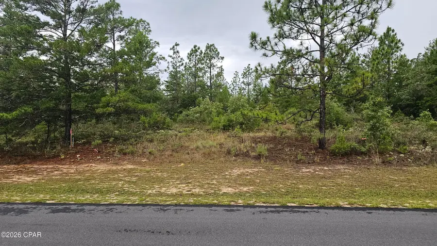 Lot 3 Deadening Road, Chipley, FL 32428 - #2