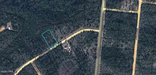 TBD Cleveland Drive, Alford, FL 32420