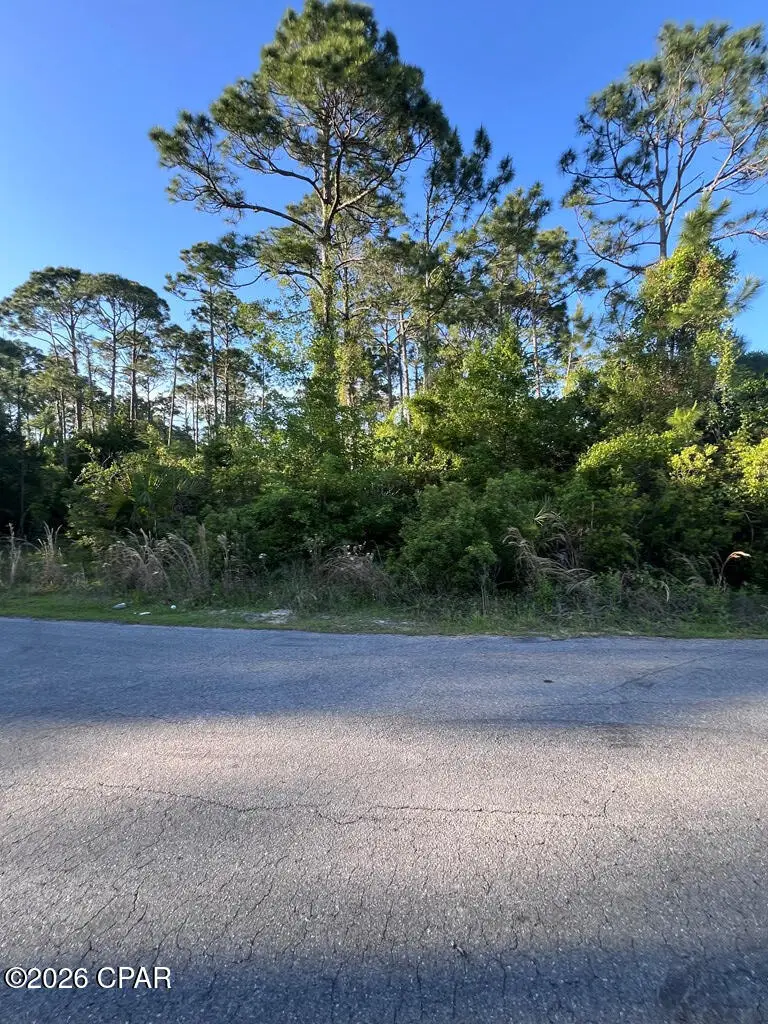 14 Stone Drive, Port Saint Joe, FL 32456 - #3