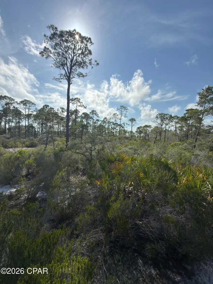 Lot A Adventure Avenue, Port Saint Joe, FL 32456 - #2