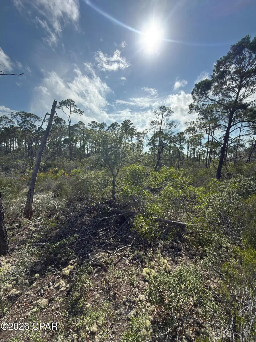 Lot A Adventure Avenue, Port Saint Joe, FL 32456 - #3