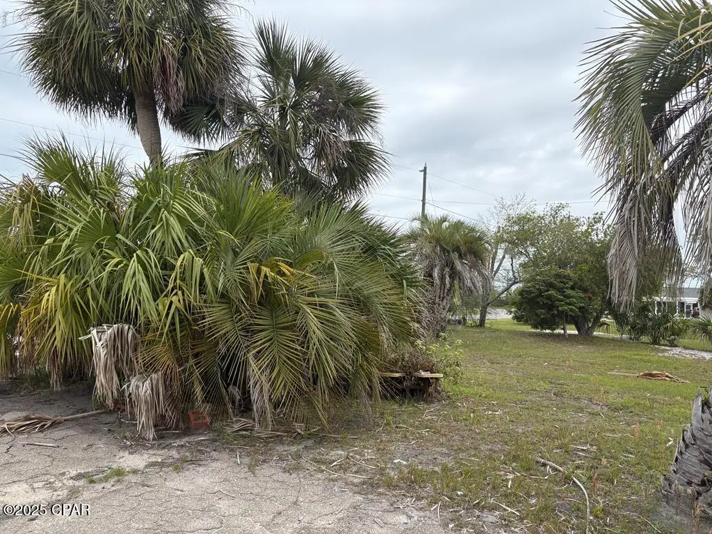 507 Cathey Lane, Mexico Beach, FL 32456 - #1