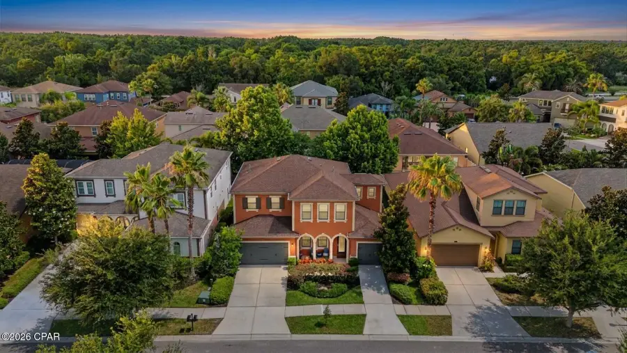 14317 Avon Farms Drive, Tampa, FL 33618 - #2