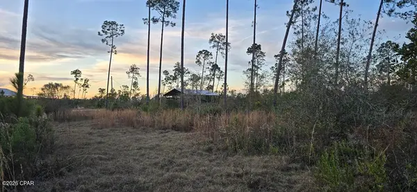 9641 Cr 386, Wewahitchka, FL 32465