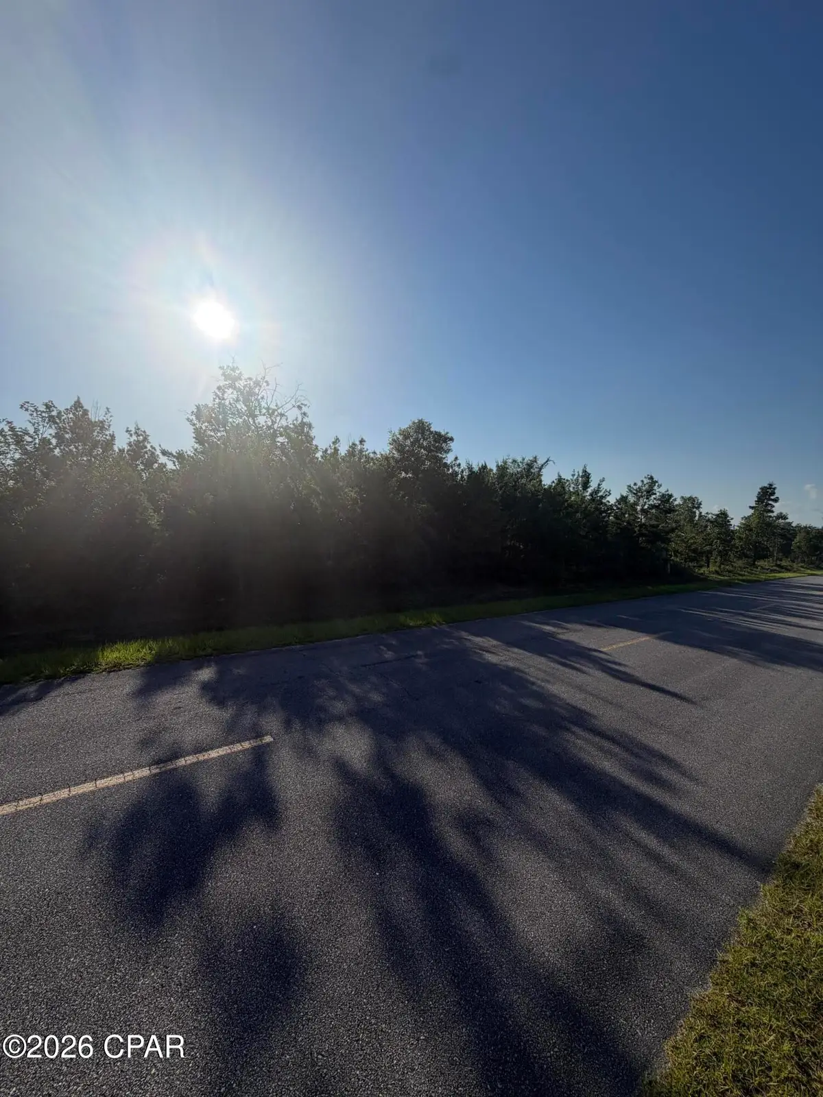 6629 Porter Grade Road, Altha, FL 32421 - #1