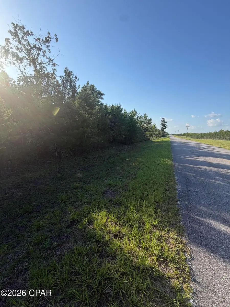 6629 Porter Grade Road, Altha, FL 32421 - #3