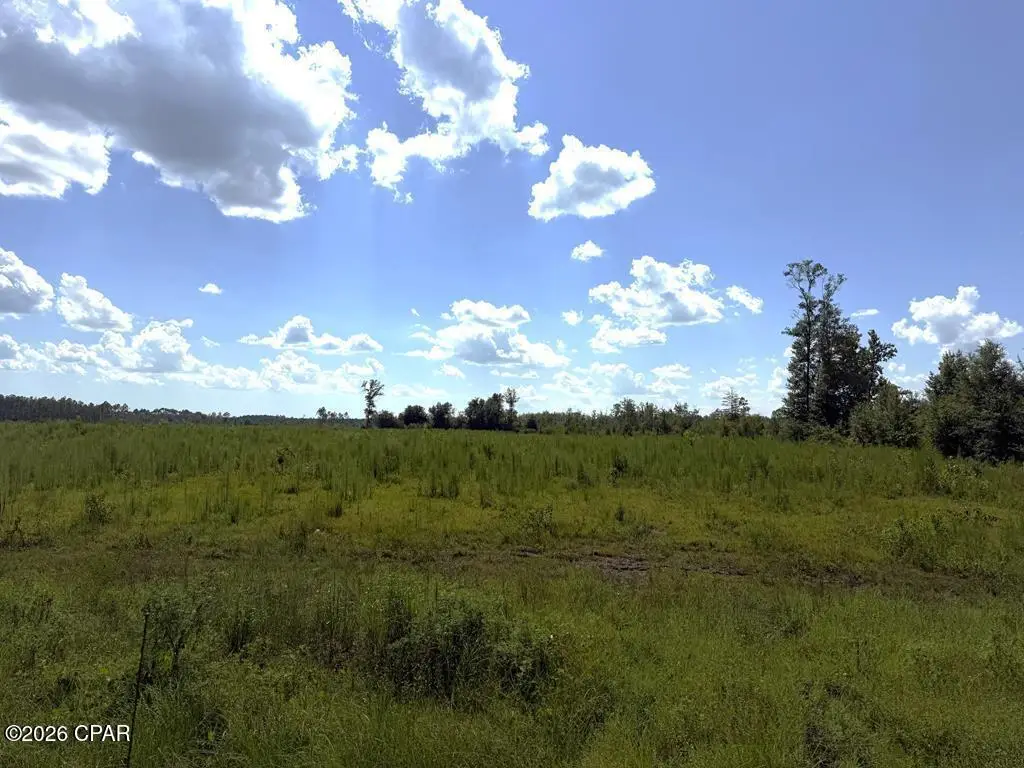 Lot 2 Hwy 71 S, Wewahitchka, FL 32449 - #1