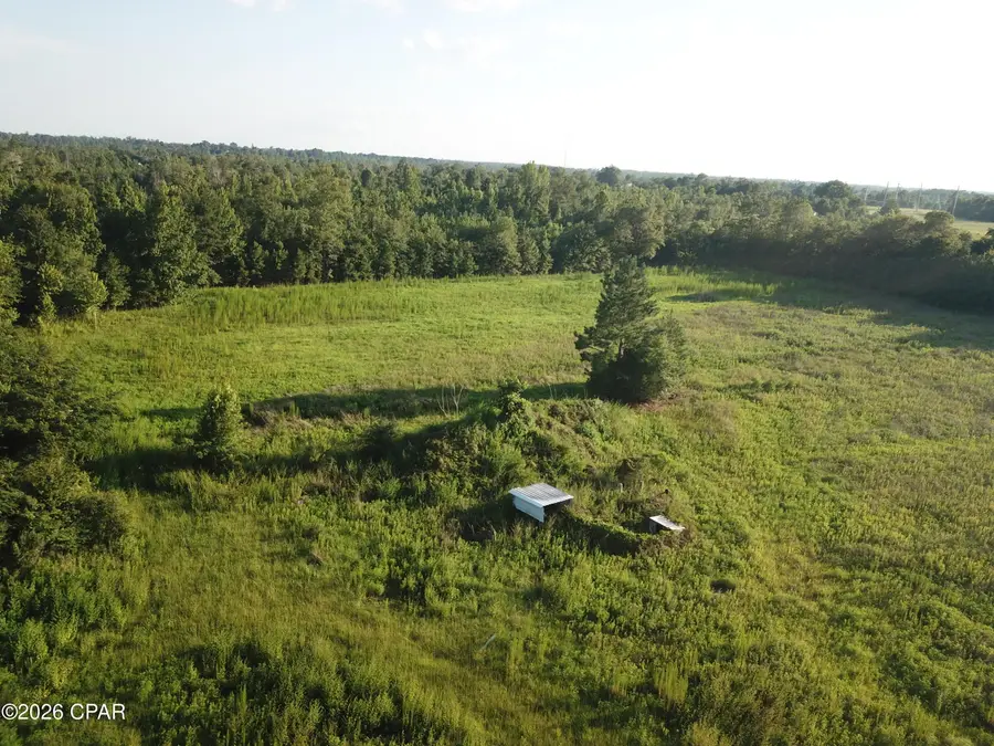 TBD Suggs Attaway Road, Clarksville, FL 32430 - #2