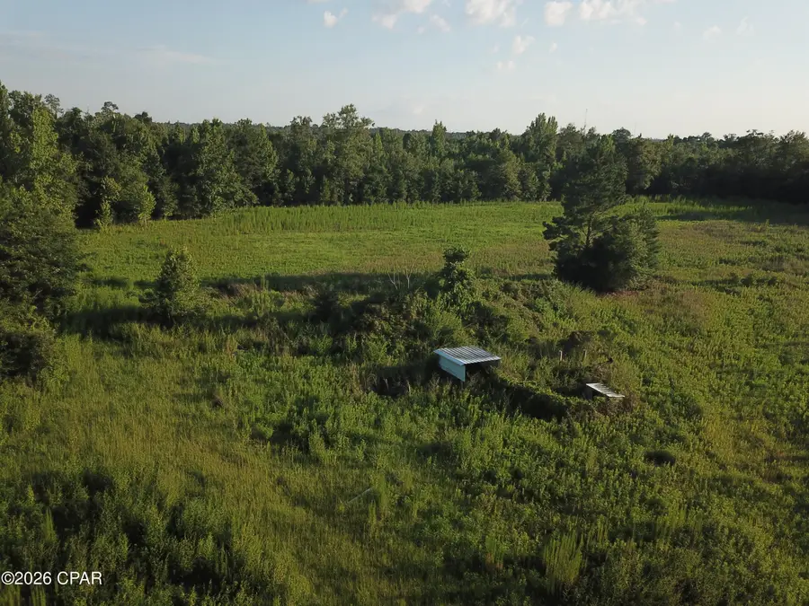 TBD Suggs Attaway Road, Clarksville, FL 32430 - #3