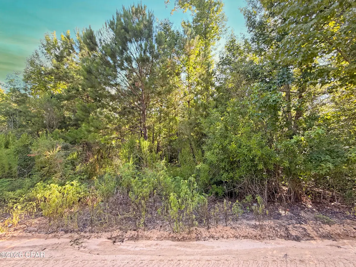6019 SE Blon Carter Road, Blountstown, FL 32424 - #1