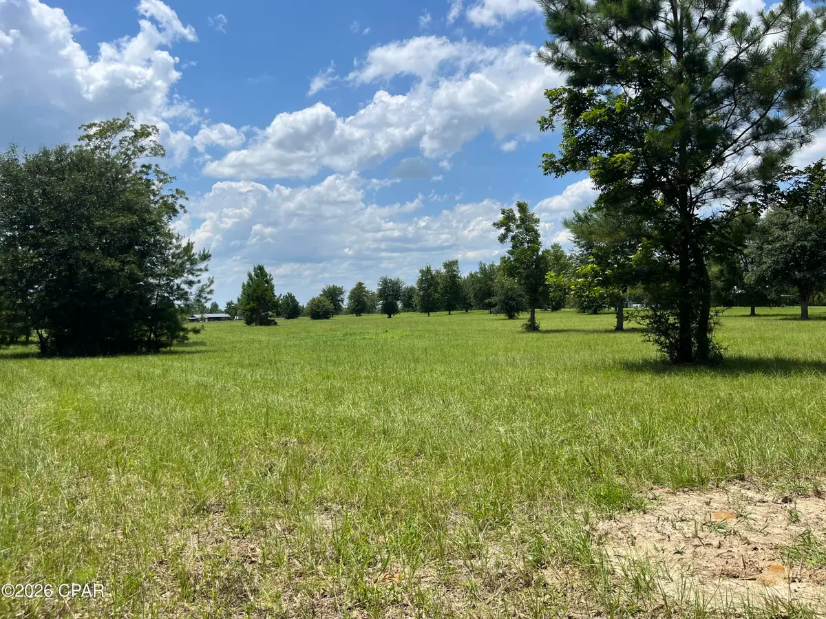 00 Gotcha Road, Marianna, FL 32448 - #1