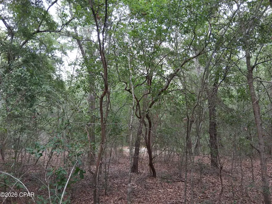 Lot 9 Challenger Boulevard #2, Chipley, FL 32428 - #3