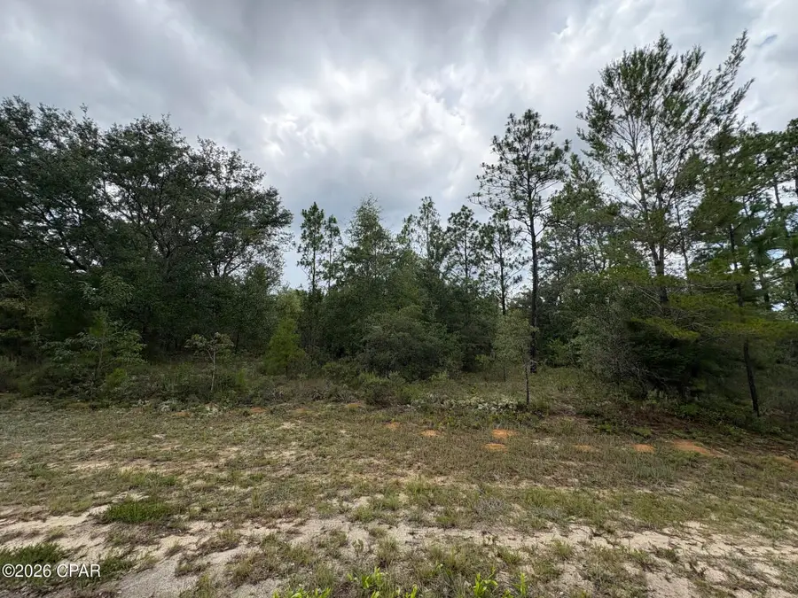 LOT 12 Yorkshire Drive, Chipley, FL 32428 - #2
