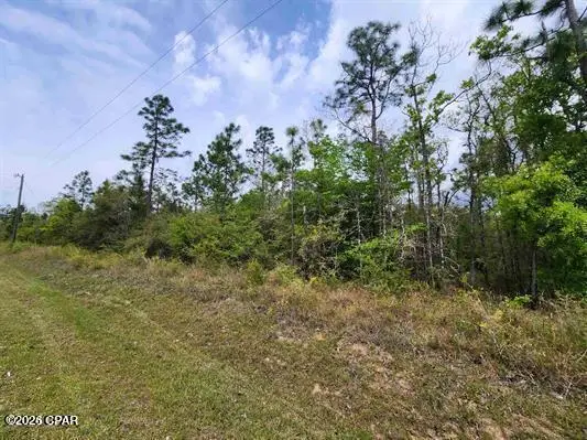 XXX NW Lake Center Road, Fountain, FL 32438 - #2