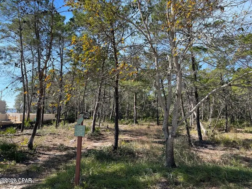 1228 W Water Oak, Panama City Beach, FL 32413 - #1