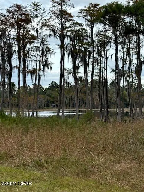0000 Everest Drive, Chipley, FL 32428