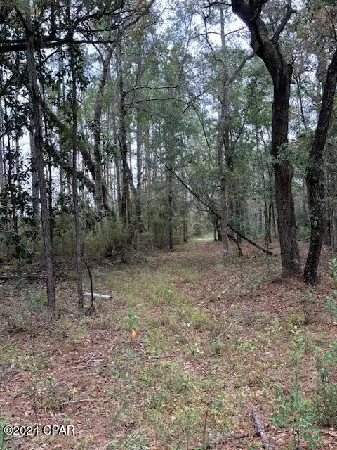 0000 Everest Drive, Chipley, FL 32428 - #3
