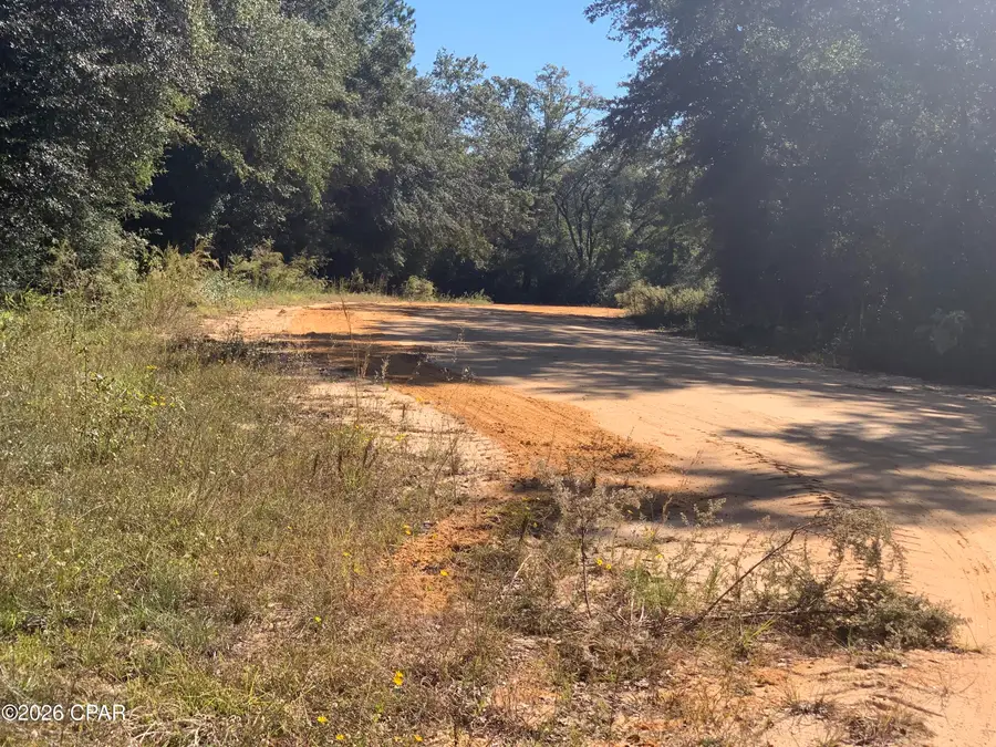 0 Larry Street, Alford, FL 32420 - #2
